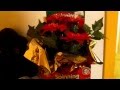 Gemmy Spinning Poinsettias