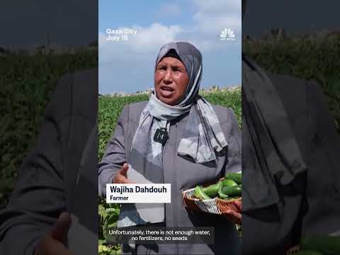 Palestinian farmers fight to restore their livelihoods