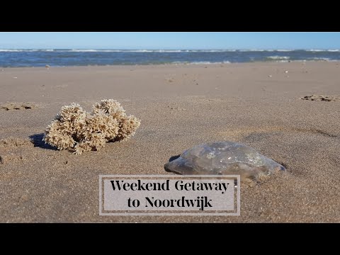 Weekend Getaway to Noordwijk, the Netherlands (Day 2) | PJK