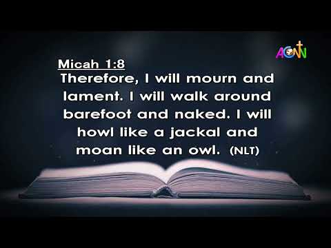 DAILY FOUNTAIN FOR OCTOBER 13, 2023 - VEN. DR. SIMEON O. OLAJOBI