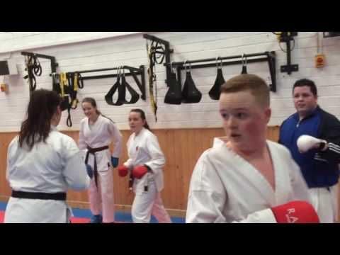 Technique - JKS Ireland National Squad Training - 30/04/2017