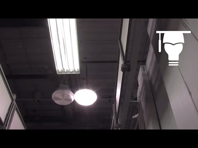 Videouttalande av luminaire Franska