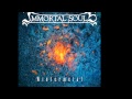 Immortal Souls - Wintermetal 