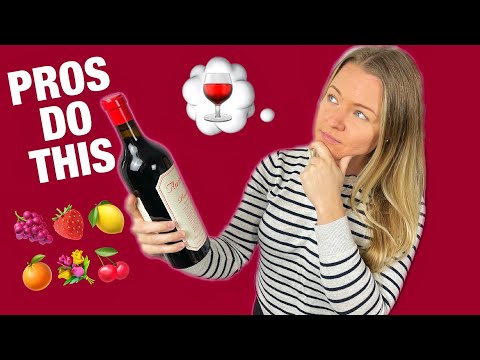 How to Describe Wine | Wine Terminology and Tasting Notes to Pick a Wine You WILL Enjoy