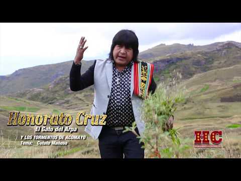 Gato Del Arpa - Kututu Mañoso / Videoclip Oficial (Huayno Perú)