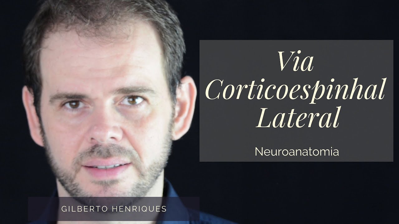 Via Corticoespinhal Lateral