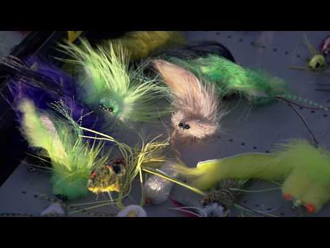 Kaenon: Built For Outsiders - Fishing