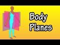 Body Planes Planes Of The Body Sagittal Planes Transverse Planes And Frontal Planes