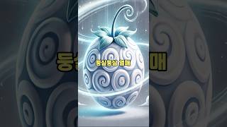 해군대장을 때려잡을 악마의 열매 TOP 3