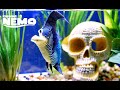 Gill Helps Nemo Finding Nemo Reimagined By AI