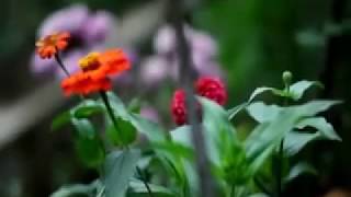 Download lagu LAGU MINANG - CELINE-AYAH mp3