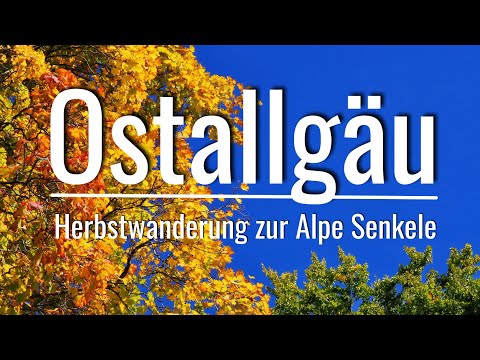 Unterwegs im Ostallgäu - Herbstwanderung zur Alpe Senkele