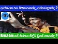 bruce-lee-à¶œà·š-à¶¸à¶»à¶±à¶º-à·ƒà·’à¶¯à·Šà¶°-à·€à·–à¶ºà·š-à¶šà·™à·ƒà·šà¶¯-02-05-2017