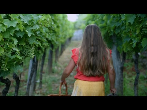 Ansambel Naši fantje - Trta zelena