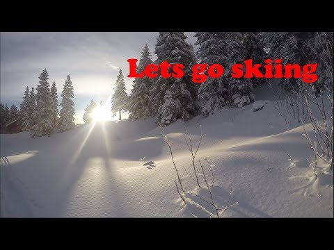 Brüsti Ski Freestyle | Backflip & Flatspin | Free Jump