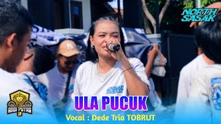 Download lagu ULA PUCUK VOC. DEDE TRIA ANDI PUTRA 3 ( Semarak Idul Fitri 1447 H ) LIVE KARANGWANGUN BABAKAN mp3