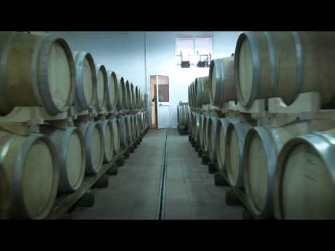 STALK RADIO sigla versione CANTINE APERTE.mov