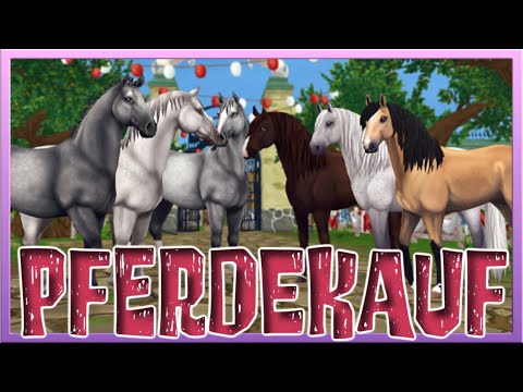Wir KAUFEN ein LIMITIERTES Pferd vom Dressur-Event 🐴 Star Stable Pferdekauf [SSO]