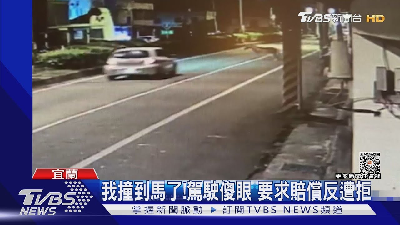 我撞到馬了！駕駛傻眼　要求賠償反遭拒 