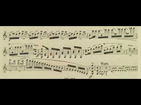 J.W Kalliwoda - Violin Concertino No.5 Op.133
