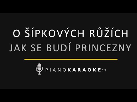 Jak se budí princezny - O šípkových růžích | Piano Karaoke Instrumental
