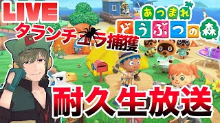 【あつ森】ついに始動！ようこそボヤキ島へ！【あつまれどうぶつの森】