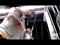 I Hate Training Arms Day - Dusty Hanshaw