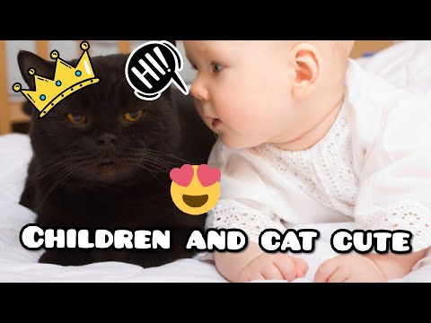 Young children with cats that love each other watch how they spend their time playing