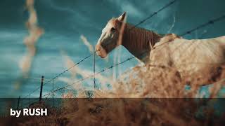 SECOND NATURE by RUSH