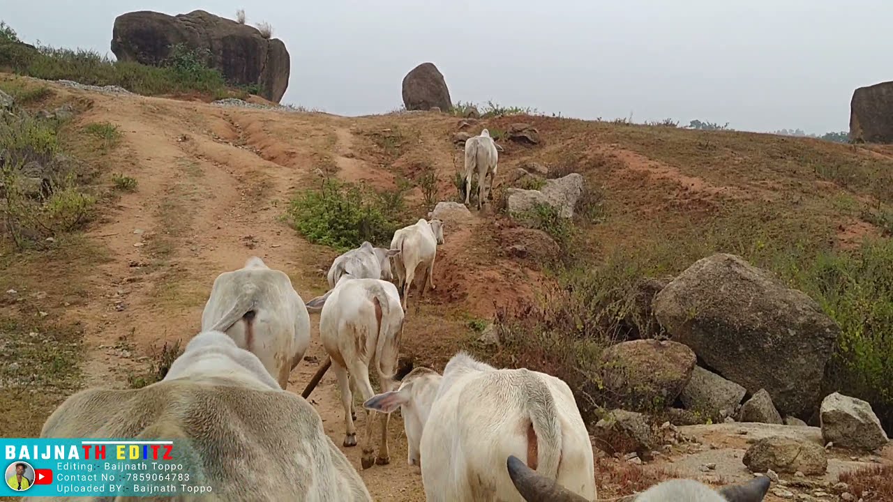 वीडियो देखने को अच्छा नहीं लगता है ना || Nagpuri Video || Baijnth editz || 2021 New Video || Vlog