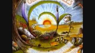 Video thumbnail of "Ozric Tentacles - Space Out"