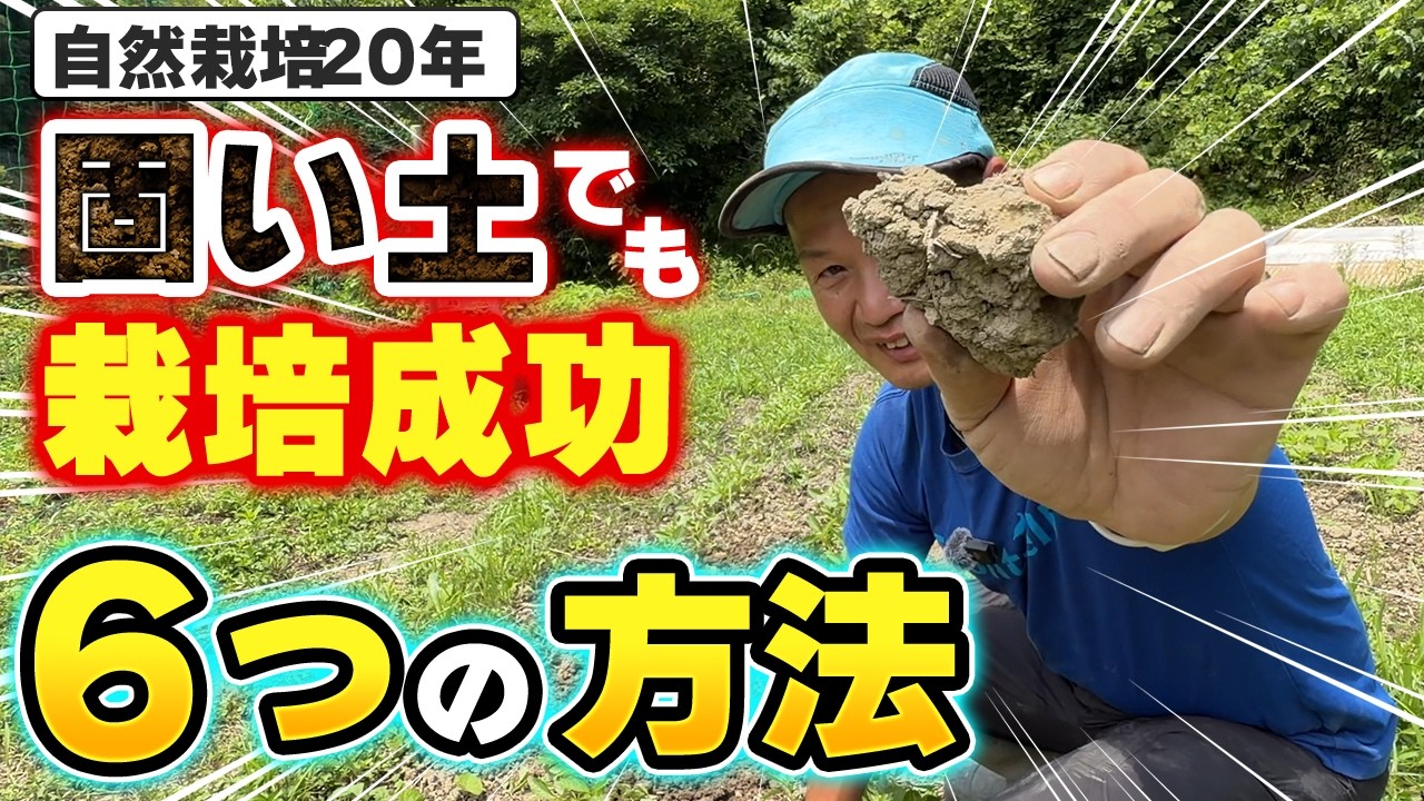 硬い土をフカフカにする土壌改善法