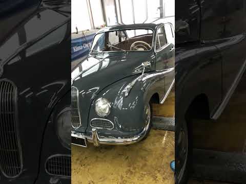 Thumbnail for BMW 501 Barockengel by BMW 501