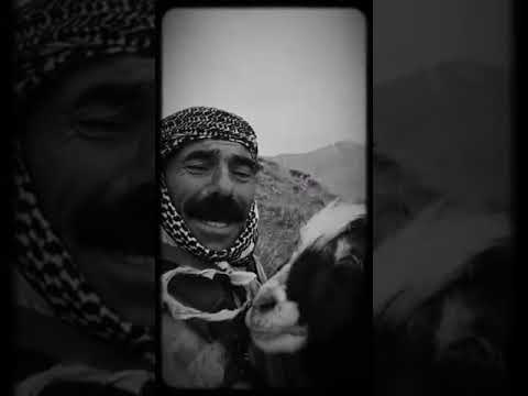 Zozaniyê - Dengbêj - Botî