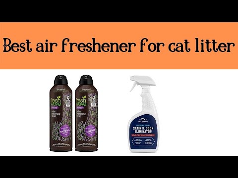 Top 5 Best air fresheners for cat 2020