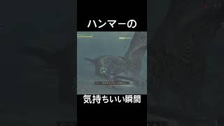 ハンマーの気持ちいい瞬間😁#monsterhunterwilds #ハンマー