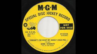 Sheb Wooley - Tonight's The Night My Angel's Halo Fell