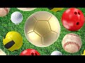 Easy English Learn Sports Balls For Everybody