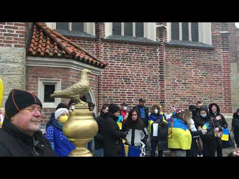 Solidarität für die Ukraine, Friedenstaube in Landshut