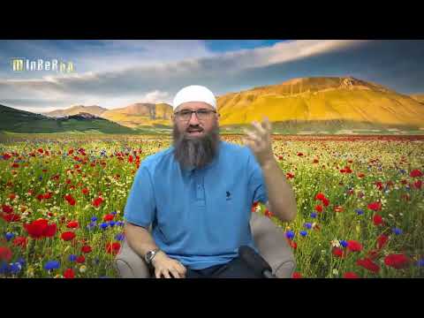 Bezalkoholno pivo u Islamu - Elvedin Pezić