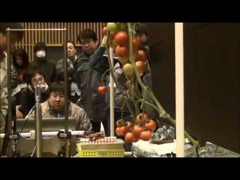 総合システム工学科 トマトロボット競技会【ファイナルステージ後半】