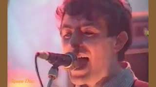 The Lightning Seeds - Ready Or Not (TFI Friday) 1996 (Rare Live Broadcast) New! (SHQ Audio)