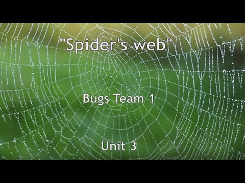 "Spider's web" song, Bugs Team 1, unit 3.