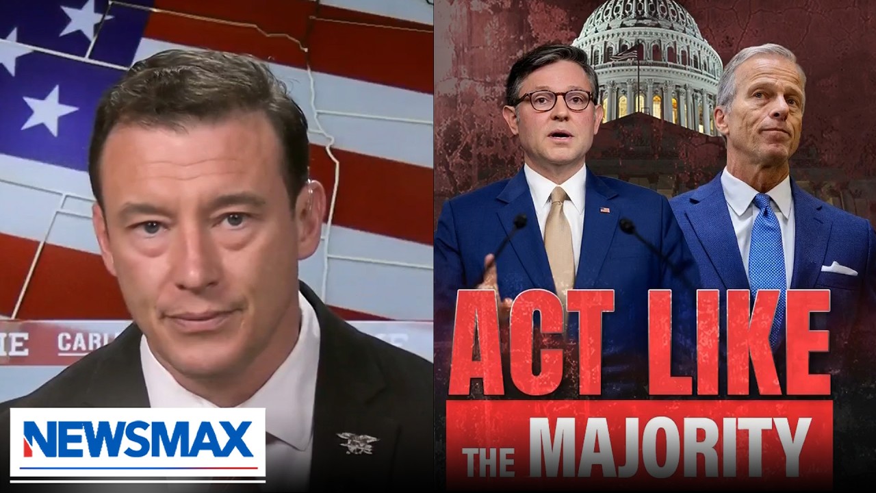 Carl Higbie: 'RINOS are going to give the country to the Democrats'