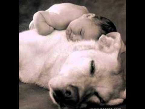 Estrela Guia video