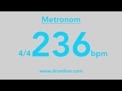 236 bpm - 4/4 | DRUMLION