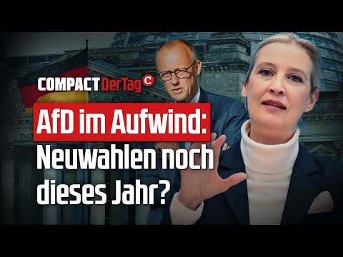 AfD on the rise: New elections this year?💥