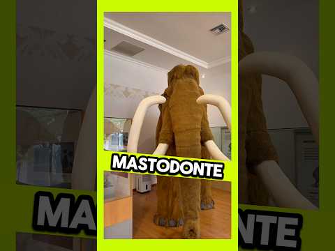 🦣 El mastodonte, un anima que habitó en la provincia de Santa Elena