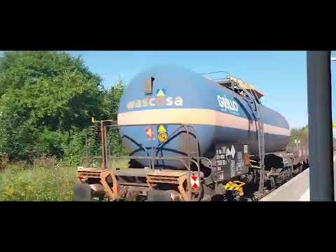 DB Cargo durch Gera-Langenberg #zug #bahn #db #güterzug #DB Cargo