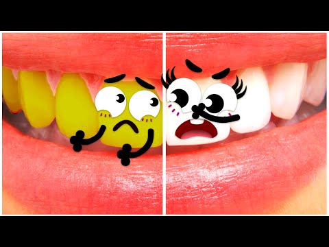 Cheer up! | Secret Life Of Stuff Fruits And Vegetables Doodles 3D Cute Talking Food